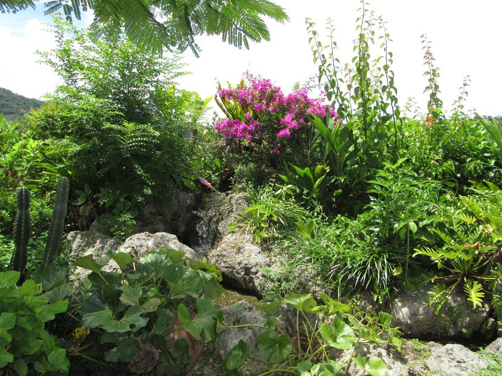 Hibis Resort Nakidzsin Kültér fotó